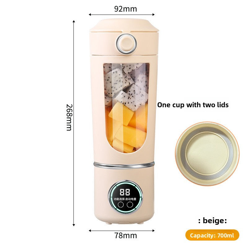 Electric Juicer